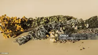 长安古法今用：西安按摩里的千年养生智慧