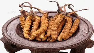 按摩工具箱大揭秘：巧用工具，让你的按摩技巧瞬间升级！