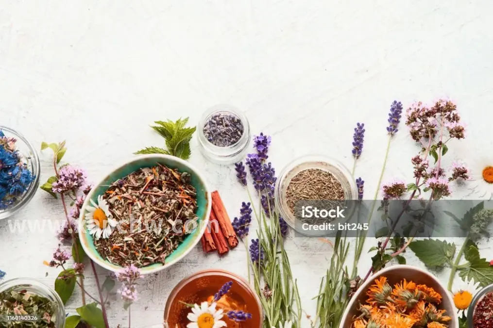 放松的肩颈按摩