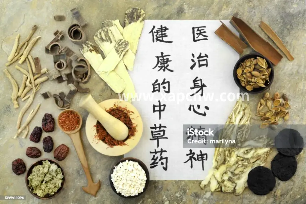 新手入门